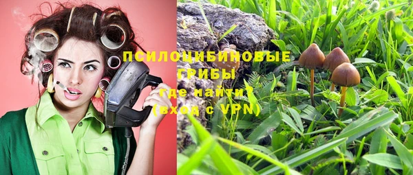 ALPHA PVP Касимов