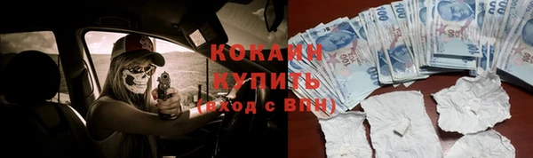 гидра Карталы