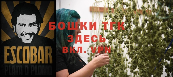 гидра Карталы