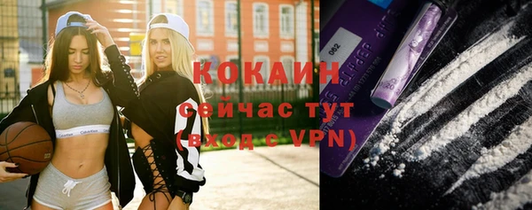 гидра Карталы