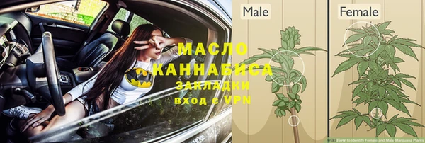 гидра Карталы