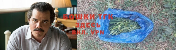 гидра Карталы