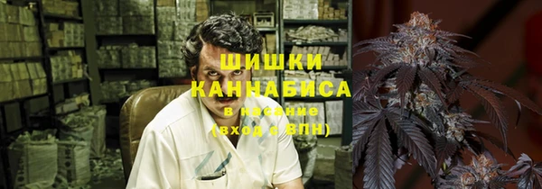 ГАЛЛЮЦИНОГЕННЫЕ ГРИБЫ Карпинск
