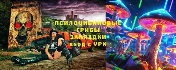 гидра Карталы