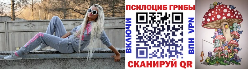 Купить закладки  Волгодонск  Псилоцибиновые грибы Psilocybe 